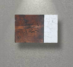 2004, 30x40 cm, oil on wood